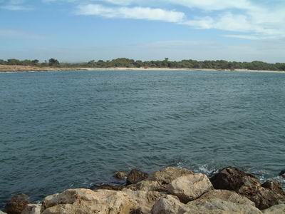 DSCF0113.JPG